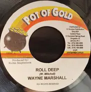 Wayne Marshall - Roll Deep