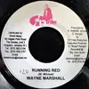 7inch Vinyl Single - Wayne Marshall - Running Red