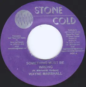 Wayne Marshall - Something Must Be Wrong