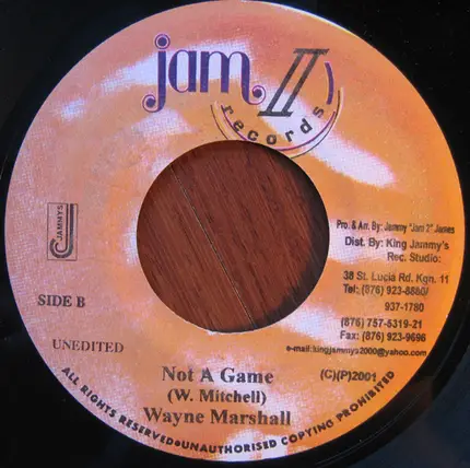 Wayne Marshall - Not A Game