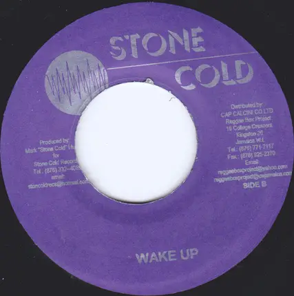 Wayne Marshall - Something Must Be Wrong