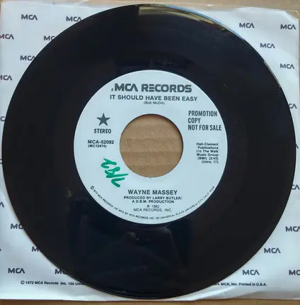 Wayne Massey - It Should Have Been Easy