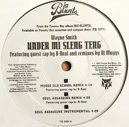 Wayne Smith - Under Mi Sleng Teng