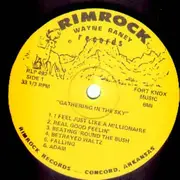 LP - Wayne Raney - Gathering In The Sky
