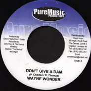 Wayne Wonder - Don't Give A Dam