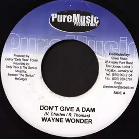 Wayne Wonder - Don't Give A Dam