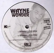 12'' - Wayne Wonder - Gonna Love You