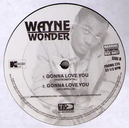 Wayne Wonder - Gonna Love You