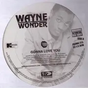 12'' - Wayne Wonder - Gonna Love You