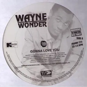 Wayne Wonder - Gonna Love You