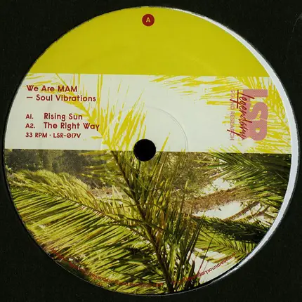 We Are Mam - Soul Vibrations