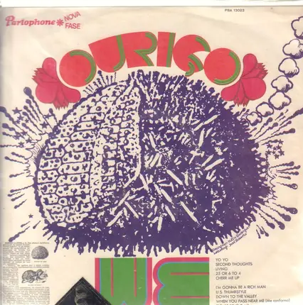 We - Ouriço