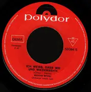 7inch Vinyl Single - Wencke Myhre - Die Liebe Im Allgemeinen