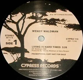 Wendy Waldman - Living In Hard Times