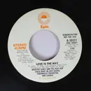 7inch Vinyl Single - Webster Lewis And The Post-Pop Space-Rock Be-Bop Gospel Tabernacle Orchestra And Chorus - Love Is The Way