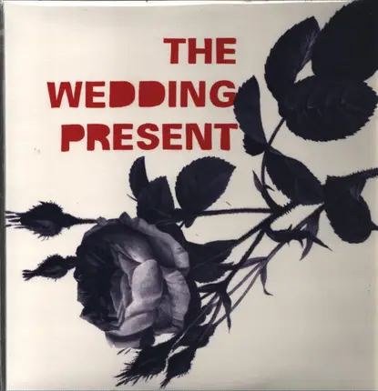 Wedding Present - Tommy