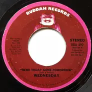 Wednesday - Here Today Gone Tomorrow