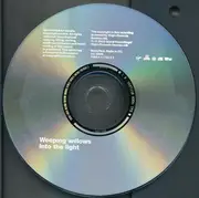 CD - Weeping Willows - Into The Light