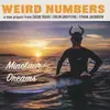 7inch Vinyl Single - Weird Numbers - Minotaur Dreams