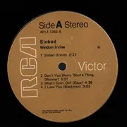 LP - Weldon Irvine - Sinbad - Original US 1st Pressing