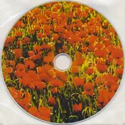 CD - WellenBrink - Reflexiona ! (Musikalische Mallorca-Visionen)