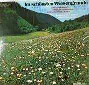 LP - Werner Hollweg - Im Schönsten Wiesengrunde