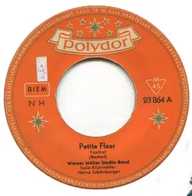 Werner Müller - Petite Fleur