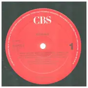12inch Vinyl Single - Werner - Pump Ab Das Bier