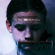 CD - Westernhagen - In Den Wahnsinn