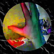 Wesley Matsell - Zone Within Zones