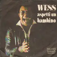 Wess Johnson - Aspetti Un Bambino