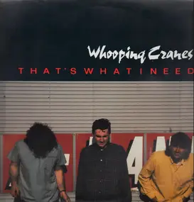 Whooping Cranes - That's What I Need