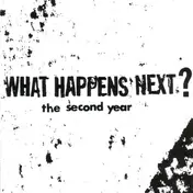 What Happens Next? - The Second Year