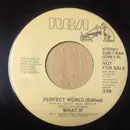 7inch Vinyl Single - What If - Perfect World