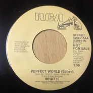 What If - Perfect World