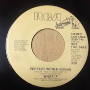 What If - Perfect World