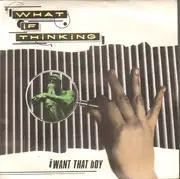 7inch Vinyl Single - What If Thinking - I Want That Boy