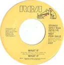 7inch Vinyl Single - What If - What If
