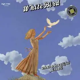 What A Beautiful Pinball, Pinball - White Bird