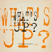 WHAT'S UP? - Summer Nights (Lord Have Mercy!!!) / Who's Got Tha Flavor?