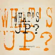 What's Up? - Summer Nights (Lord Have Mercy!!!) / Who's Got Tha Flavor?