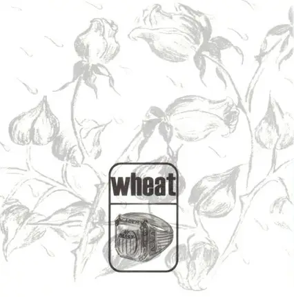 Wheat - Medeiros
