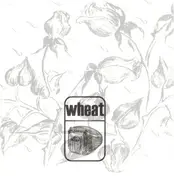 Wheat - Medeiros