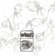 Wheat - Medeiros
