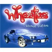 CD Single - Wheatus - Teenage Dirtbag