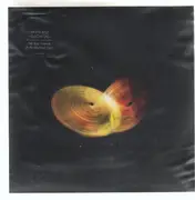 7inch Vinyl Single - White Belt Yellow Tag - Tell Your Friends (It All Worked Out) - + CD