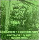 LP - White Eagle New Orleans Band + Jon Marks - 'Down Among The Sheltering Palms'