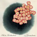 CD - White Hinterland - Luniculaire - EP