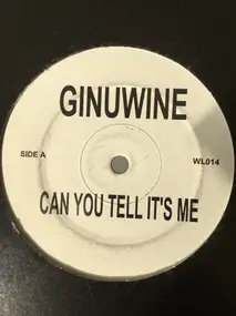 Ginuwine - Wl014