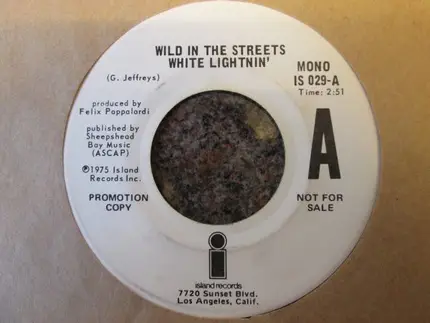 White Lightnin' - Wild In The Streets